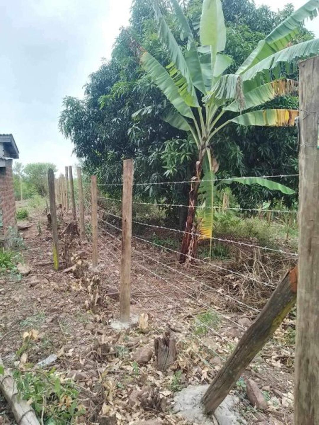 Perimieter Fence