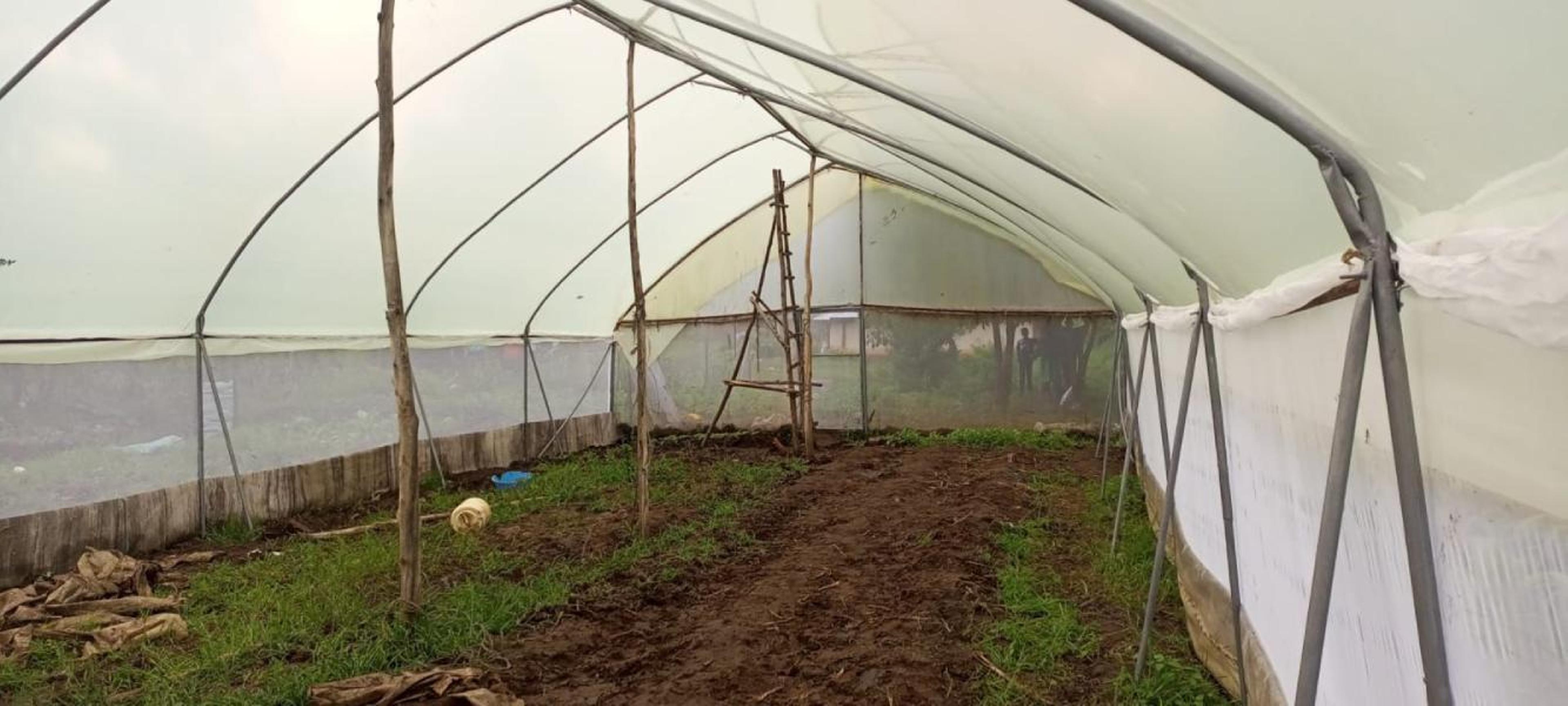 Poly tunnel