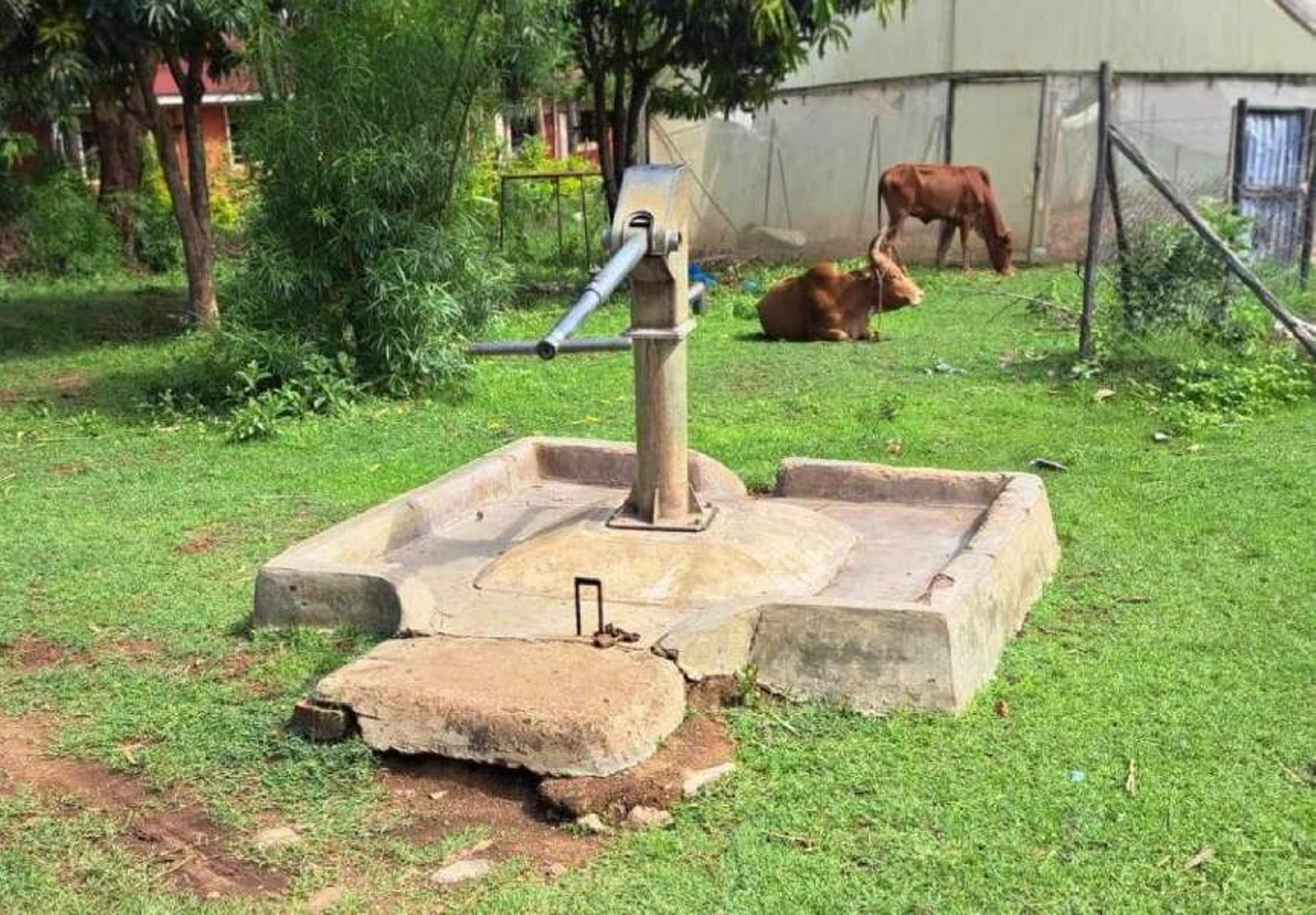 village drinking pump